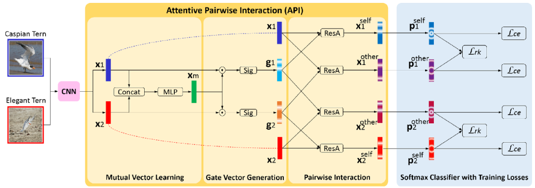 用于细分类的API-Net（Attentive Pairwise Interaction Network）